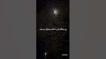 سورة آل عمران                                         #سورة_آل_عمران #القرآن_الكريم #فلسطين #اكسبلور