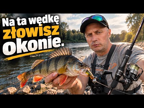 Shore fishing for perch in September | Fishing 2026