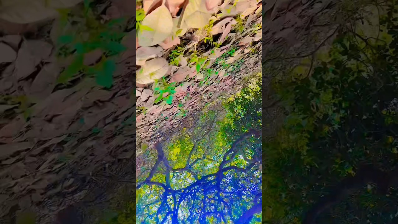 संदेशे आते है (4K) - Sandese Aate Hai Full 4K Video Song | Border | बॉर्डर - सनी देओल