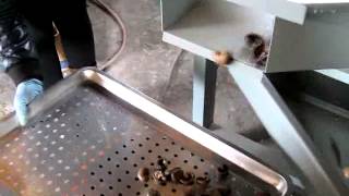 cashew shell and kernel separator