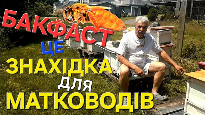 #бджоли Завдяки цьому прориву в бджільництві гроші приходять раніше!!!
