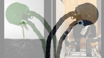 MIT develops a robot that can grow like a plant when it needs some extra reach