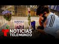 Conmoción mundial ante la muerte de Diego Armando Maradona | Noticias Telemundo