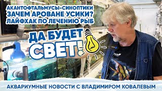 💡 Аквариумные Новости С Владимиром Ковалевым (23.12.2023). Да Будет Свет!