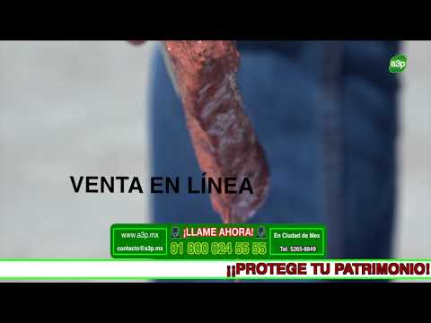 Realiza tus compras
