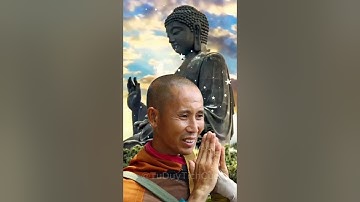 Những Lời Chia Sẻ Của Sư Thích Minh Tuệ - Phần 13 | Tư Duy Tích Cực #shorts