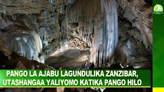 PANGO LA AJABU LAGUNDULIKA ZANZIBAR,UTASHANGAA YALIYOMO KATIKA PANGO HILO