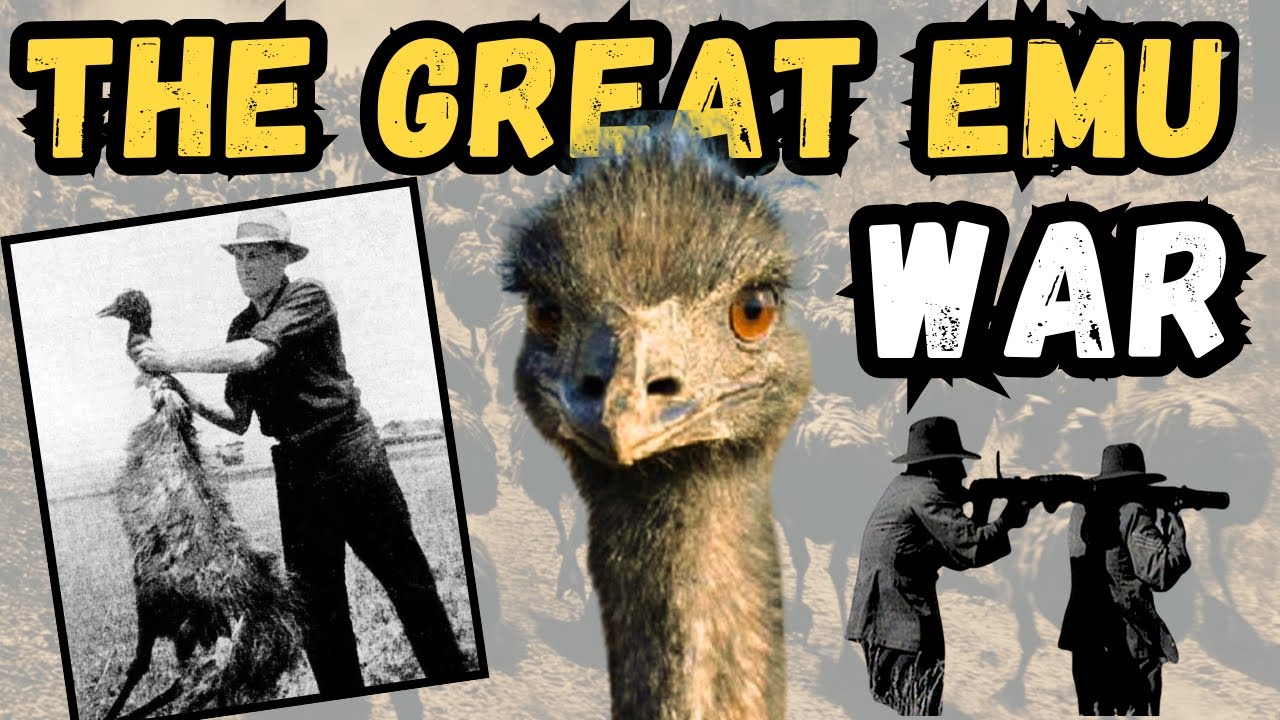 How Did Australia Lose to Birds?! | The Great Emu War | Laf Pack - YouTube