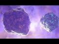 Blender showreel when i first touched the software