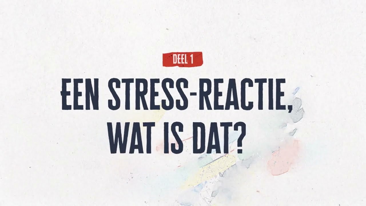 Een stressreactie, wat is dat? Begrijp je stress 1