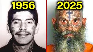 Miembros De Cárteles Que Sobrevivieron A Condenas De Prisión Demenciales