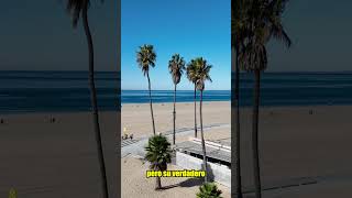 La palmera más famosa del mundo es mexicana 🌴