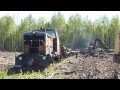 Russia Forest railway - 750mm / Waldbahn / Кобринская УЖД