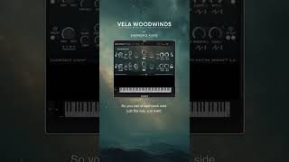 Velas FX Page Highlights: Delay Sync & Convolution Reverb 🔊