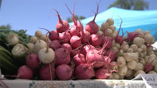 Sustainable Farm to Table in Missouri