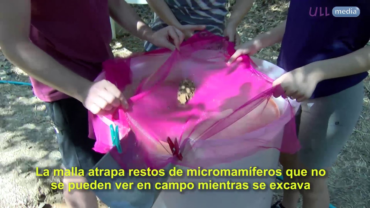 la laguna de la niña encantada leyenda Proceso de flotación de sedimentos arqueológicos