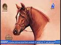عالم الفروسية والخيول مع كابتن حسام رستم و نانسى إبراهيم فى وصف مصر رمضان 2026 عالم الفروسية والخيول مع كابتن حسام رستم و نانسى إبراهيم فى وصف مصر رمضان 2026