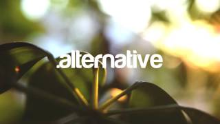 The New Coast - Lost In Your Love @Alternativedot