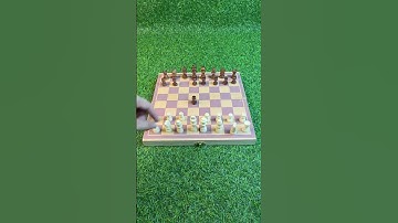 Chiếu hết trong 4 nước cờ #benrikids #boardgames #chess