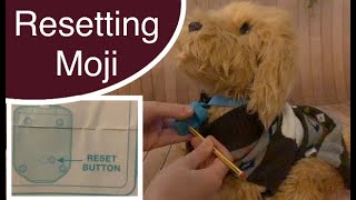 Skyrocket Moji the Lovable Labradoodle - Reset Switch: How to reset Moji