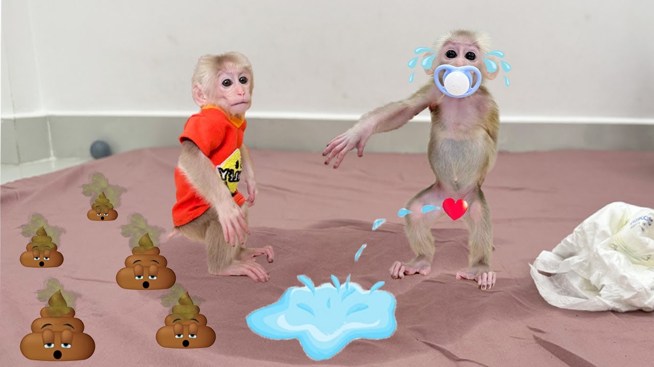 Laughing till tears: Mom runs everywhere to clean up Lucky's 'battlefield'! Full version