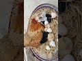 #sapanakofal #sapanamakukhuradekhnu #dreammeaning #dream #dreaminterpretation #murge#shortvideo
