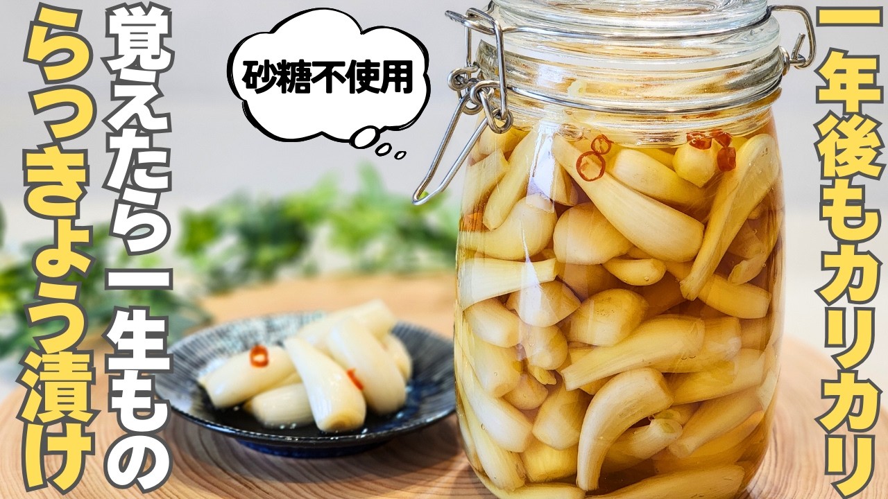 【砂糖不使用】誰でも簡単。面倒な塩漬け塩抜きは不要！下処理から保存まで解説。漬けるだけ【らっきょう甘酢漬け】