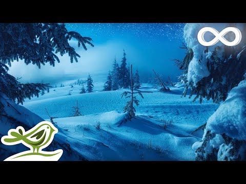 Calm Piano Music with Beautiful Winter Photos • Soothing Music for Studying, Relaxation or Sleeping