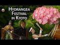 Kyoto Festival: Hydrangea Celebration at Fujinomori Shrine (Ajisai Matsuri)