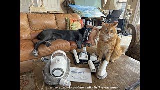 Funny Curious Cats & Great Dane Check Out New Neakasa Pet Grooming Vacuum Tools & Box