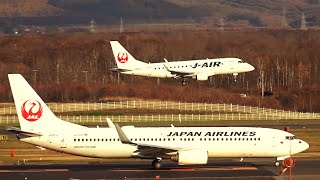 【光線最高】夕日が美しい新千歳空港の離着陸機をご紹介