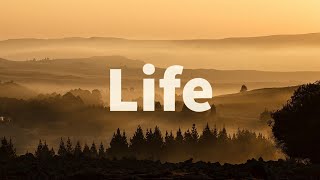 Life by Charlotte Brontë