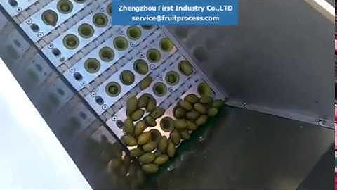 olive pitting slicing machine， olive pitter