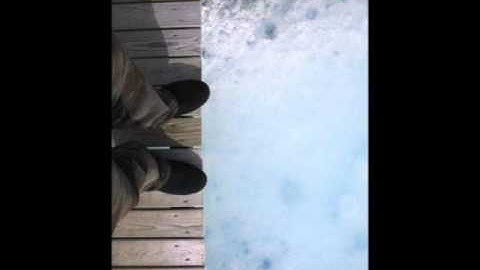 BM Sharp - Salmagundi