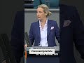 Deutschland's Außenpolitik: Kritik an Grönland-Aktion & UN-Blockaden #shorts