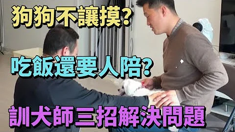 狗狗沒人陪它吃飯就絕食，一旦被摸就咬人，最後被訓犬師三招制服 - 天天要聞