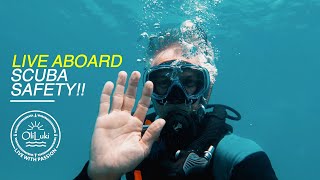 LIVE ABOARD SCUBA DIVING for Safety and Pleasure [Ep.31]