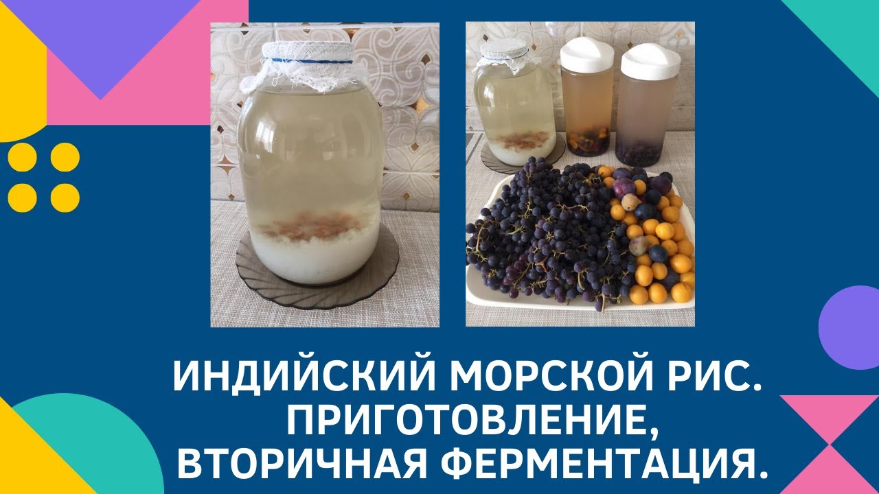 Индийский морской рис.  Приготовление, вторичная ферментация.