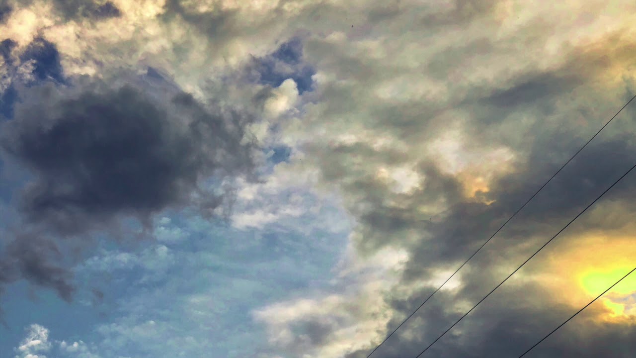 Like a bird - by Frank Posch