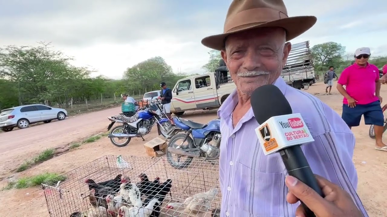 Feira de Galinha Capoeira em Senador Rui palmeira - AL 17 - 02 - 2026 #nordeste