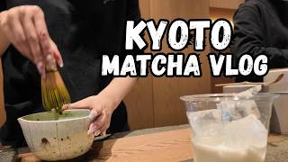 Visa Stress, Matcha Therapy & Adult Problems | Japan Vlog