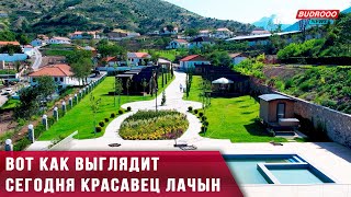 Вот как выглядит сегодня красавец Лачын