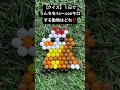 分かったらコメントしてちょ！#ポケモン #ホゲータ