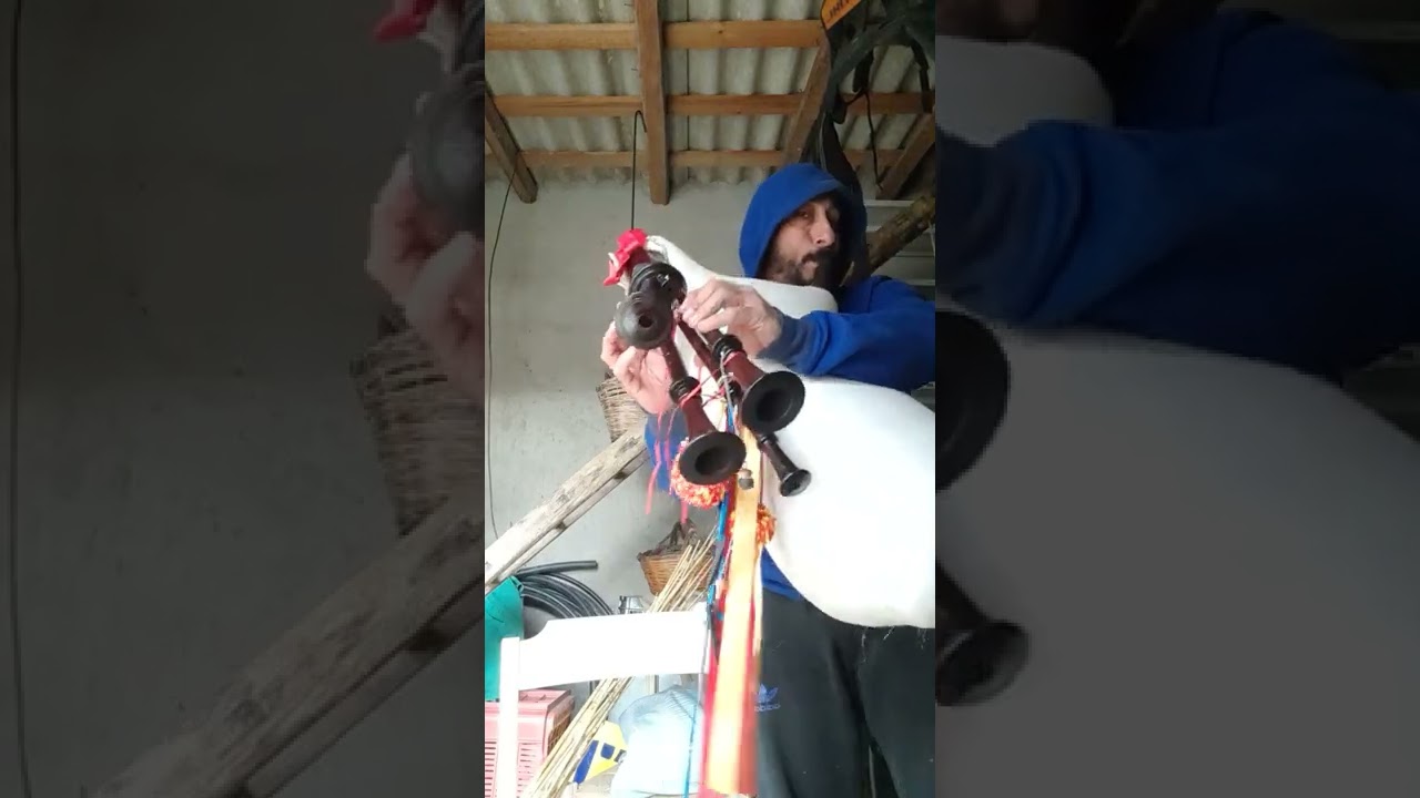 Zampogna a paro con pipite (ance doppie in canna) 
