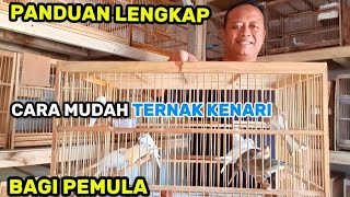 Download Lagu COMPLETE GUIDE/EASY WAY TO BREED CANARIES FOR BEGINNERS MP3