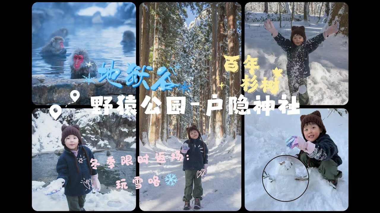 76【带着小Biu去旅行】去长野看猴子泡温泉，户隐神社赏雪徒步！