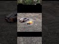Tamiya TL-01 drift