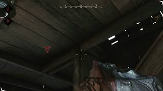 |Hunt: Showdown| Oh No Im Flashed