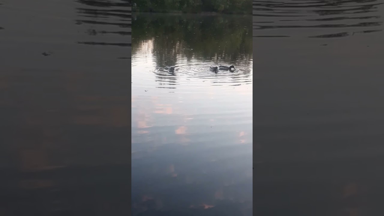 12 июня 2024 г.