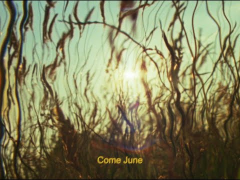Mitch Rowland - Come June (Official Visualizer)